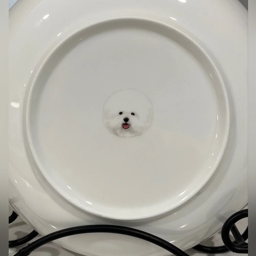Petorama 8